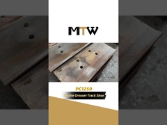 De dubbele Schoen van het Kankeraarspoor